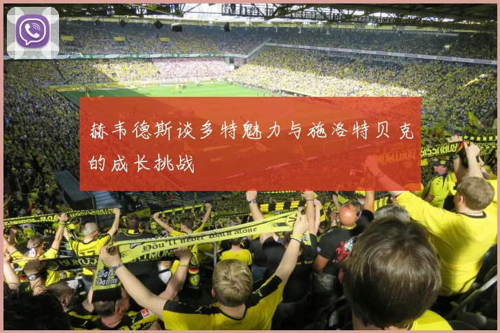 赫韦德斯谈多特魅力与施洛特贝克的成长挑战