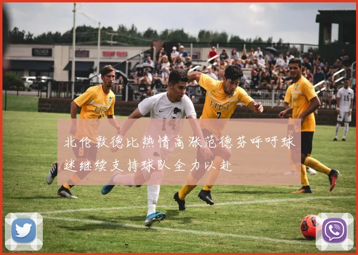 北伦敦德比热情高涨范德芬呼吁球迷继续支持球队全力以赴