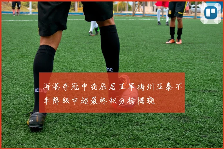 海港夺冠申花屈居亚军梅州亚泰不幸降级中超最终积分榜揭晓