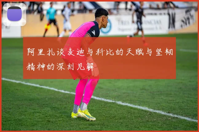 阿里扎谈麦迪与科比的天赋与坚韧精神的深刻见解